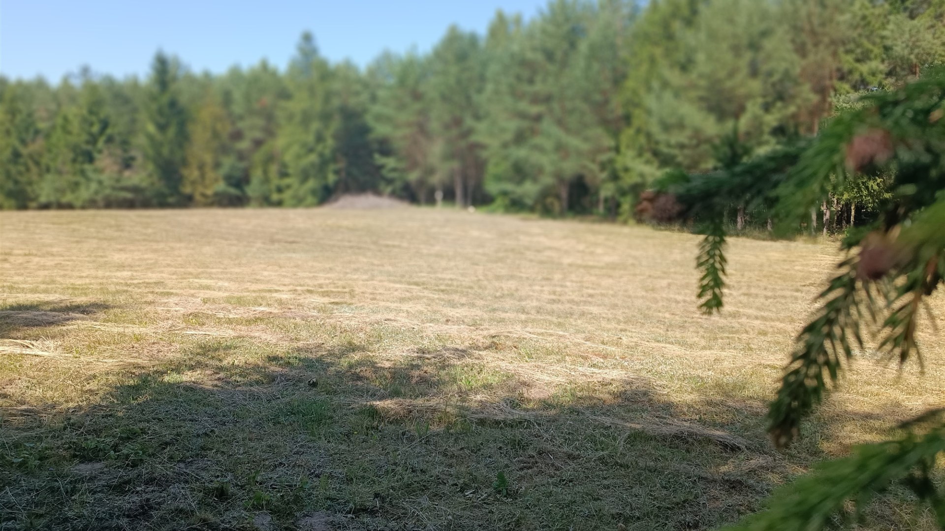 Działka na sprzedaż